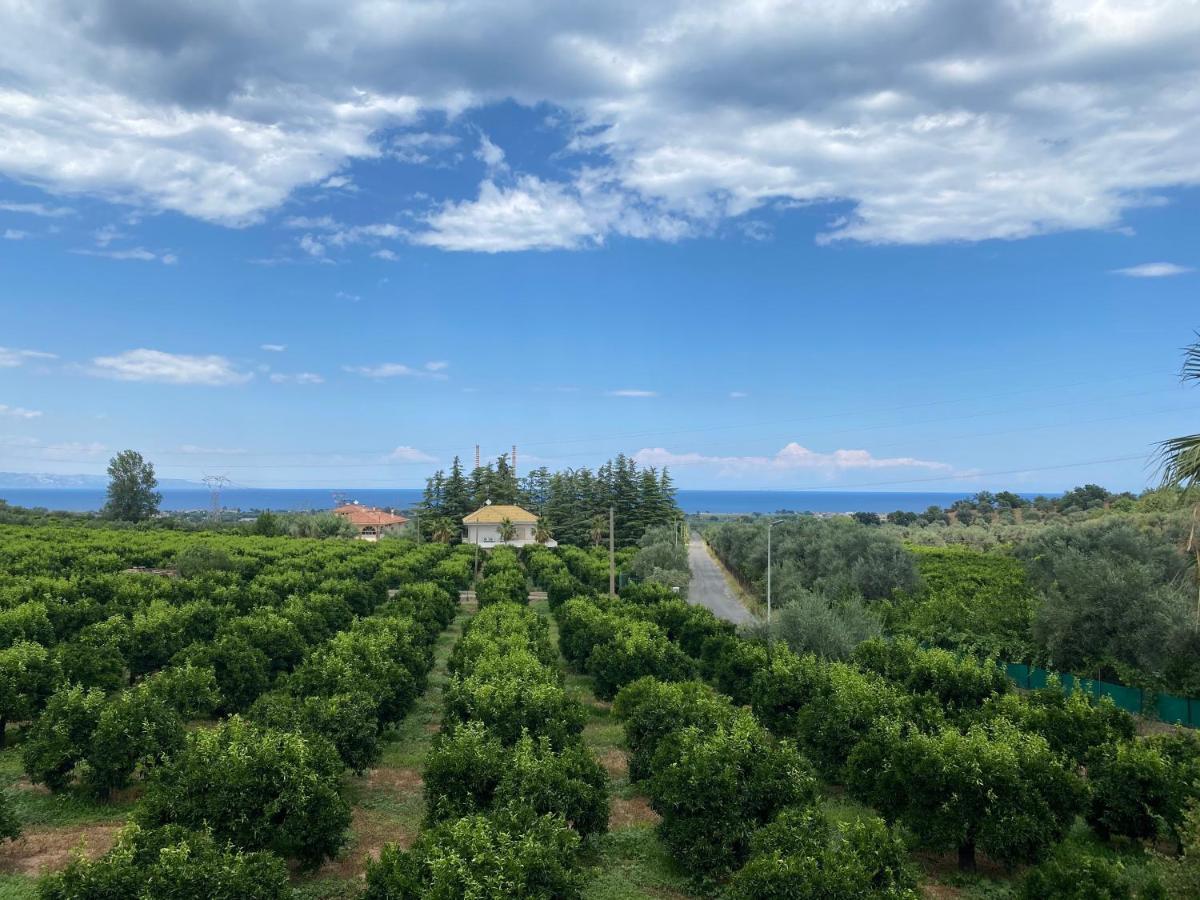 Rossano StazioneAgriturismo San Francesco别墅 外观 照片